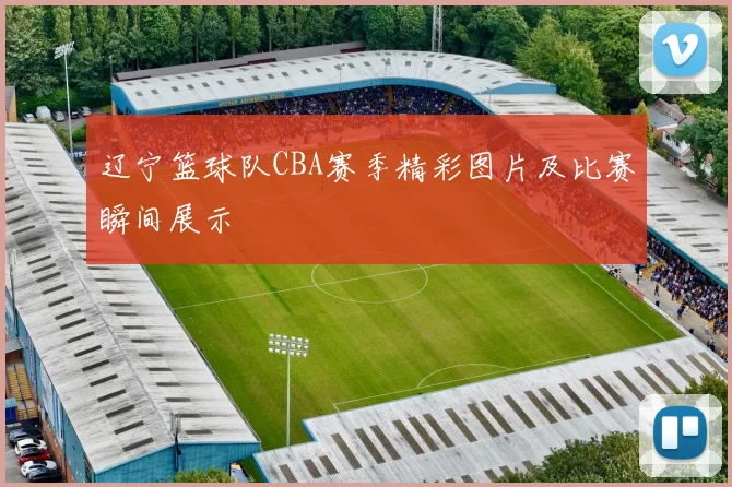 辽宁篮球队CBA赛季精彩图片及比赛瞬间展示