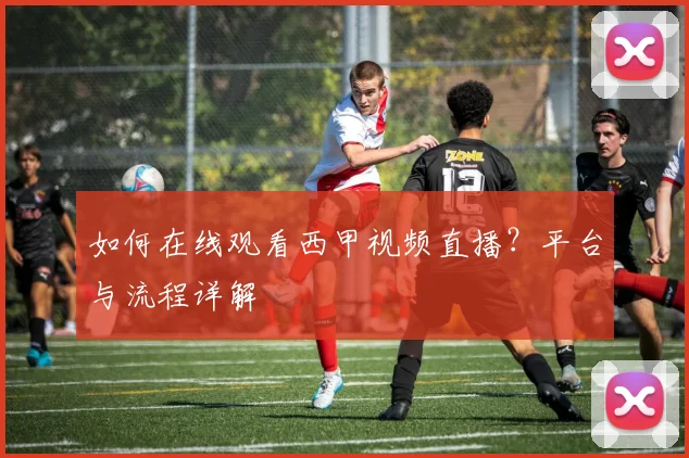 如何在线观看西甲视频直播？平台与流程详解