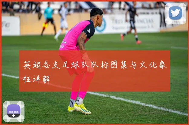 英超各支足球队队标图集与文化象征详解